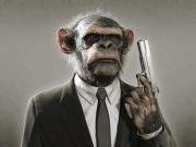 Alpha Monkey